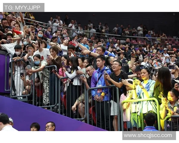 杭州亚运会排球队强势领跑积分榜总分高达95分引发关注