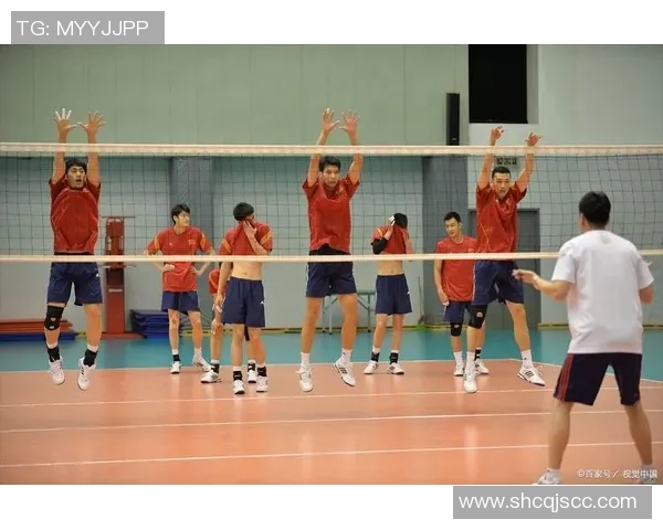 武汉排球队的节奏解析与深度剖析排球运动的魅力与挑战